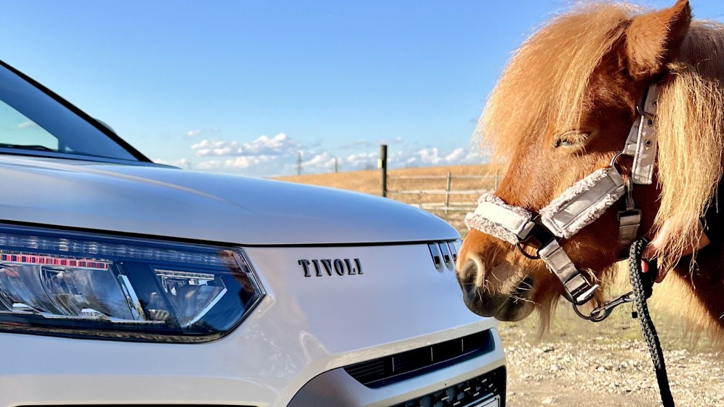 163 Pferde unter der Haube, ein kleines davor...