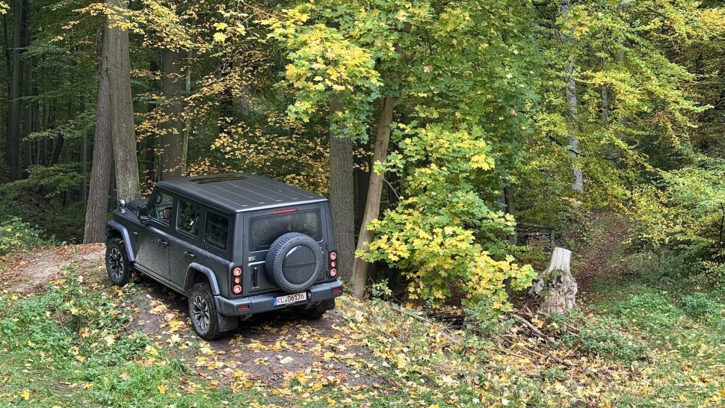Das Auto bleibt auch im Wald stets unterfordert.