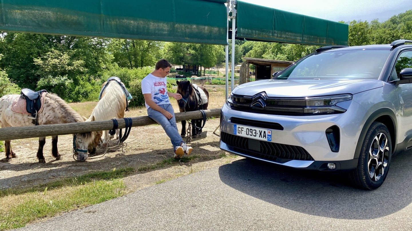 Die Vierbeiner waren mehr an Futter als am Auto interessiert.