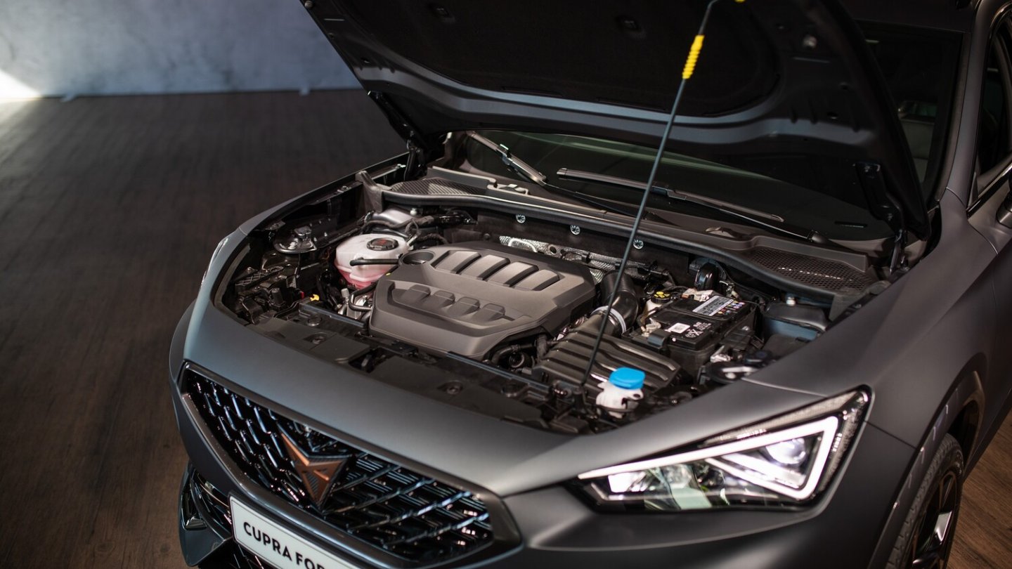 Der Cupra Formentor VZ 2.0 TSI leistet 310 PS.