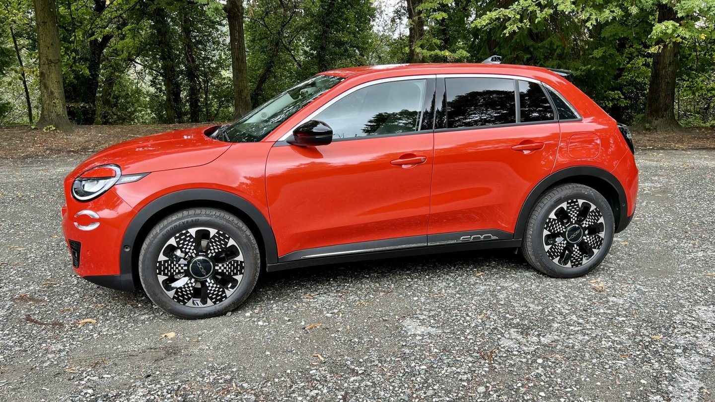 4,17 Meter lang - aber trotzdem ein Großer!