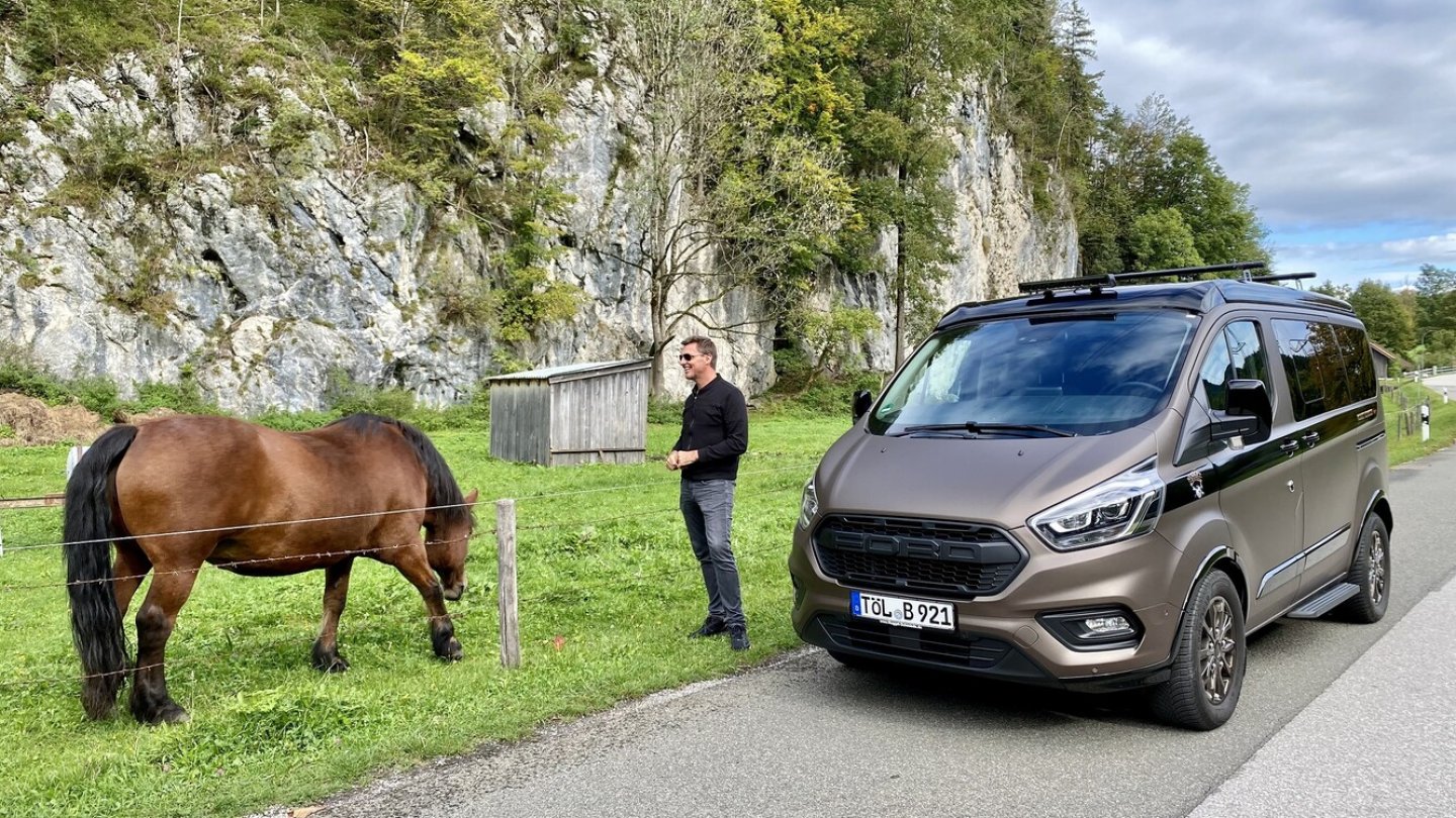 Ein Pferd steht auf der Wiese, 185 stecken im Tourneo Custom.
