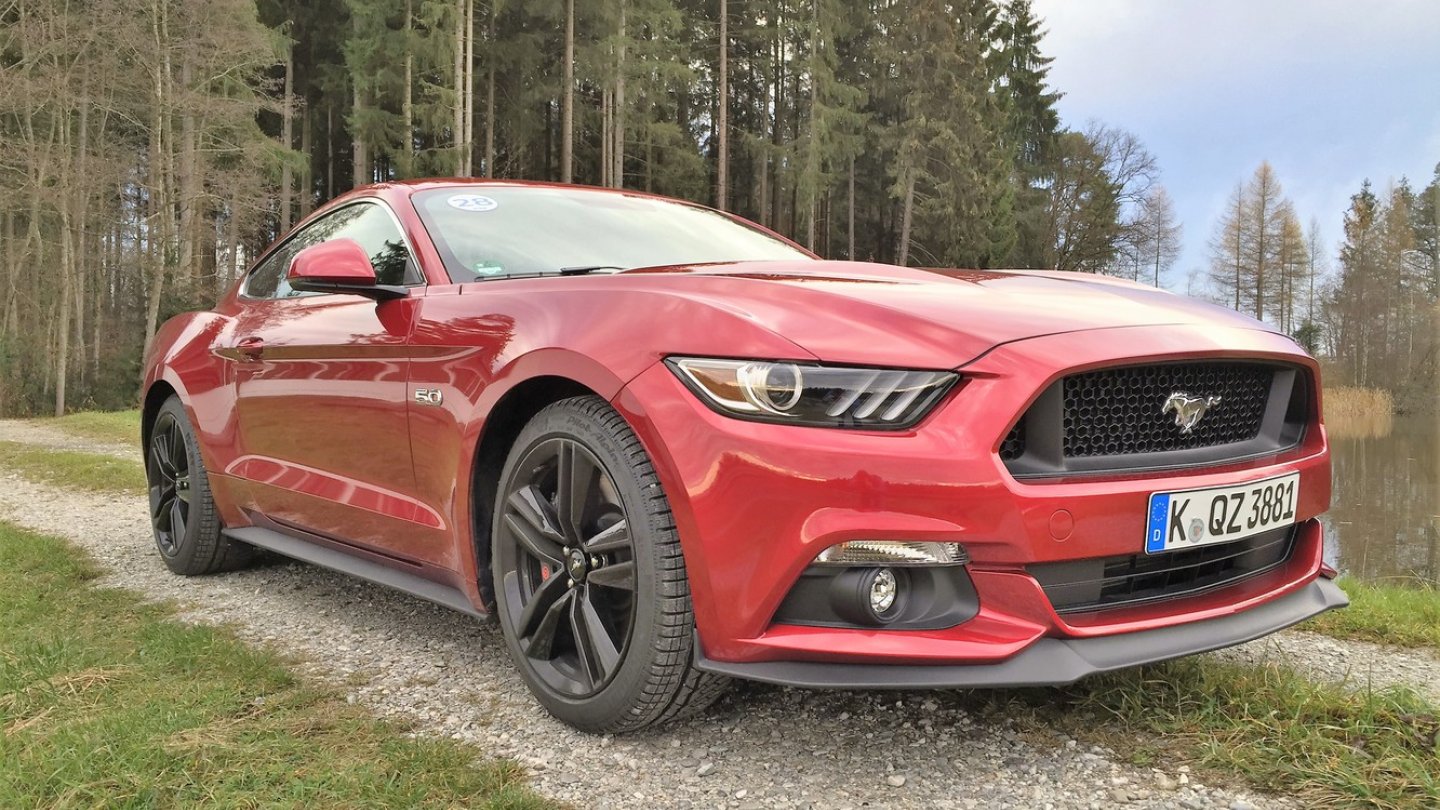 Wir standen schon fünf Minuten, die Grashalme zitterten immer noch