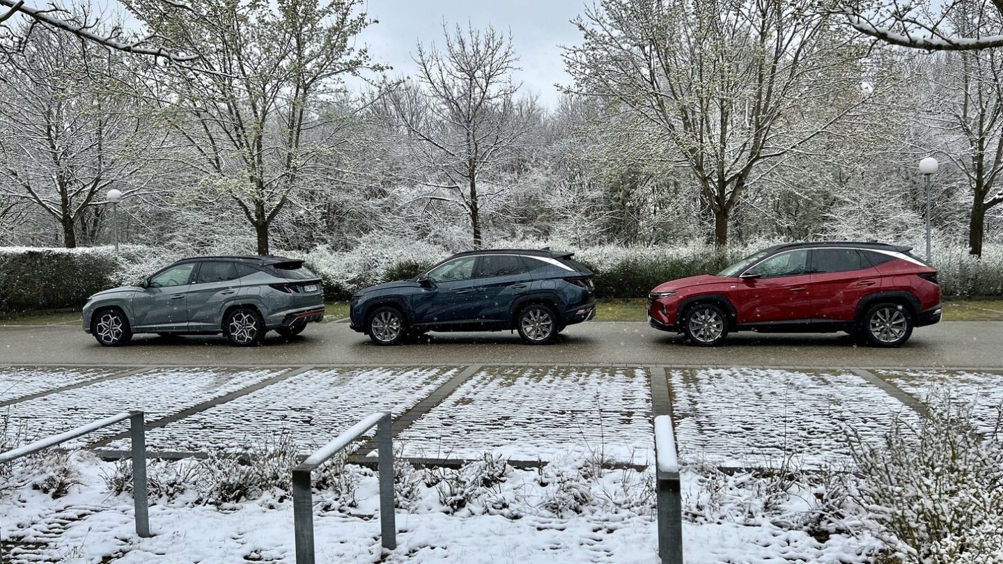 Von links nach rechts: Teuer, mittelteuer, am wenigsten teuer. Oder doch nicht?