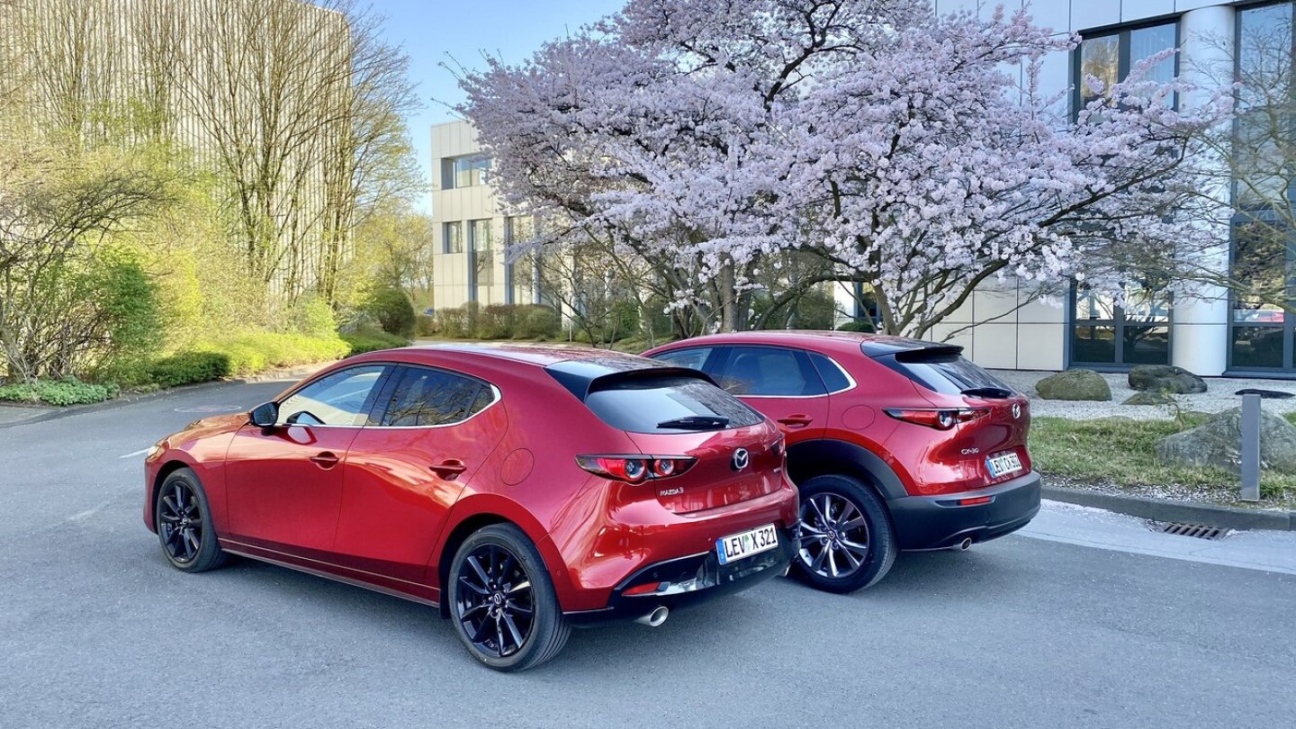 Die Kirschblüte ist ein kurzer Gast, Magmaroten Lck gibt es immer.