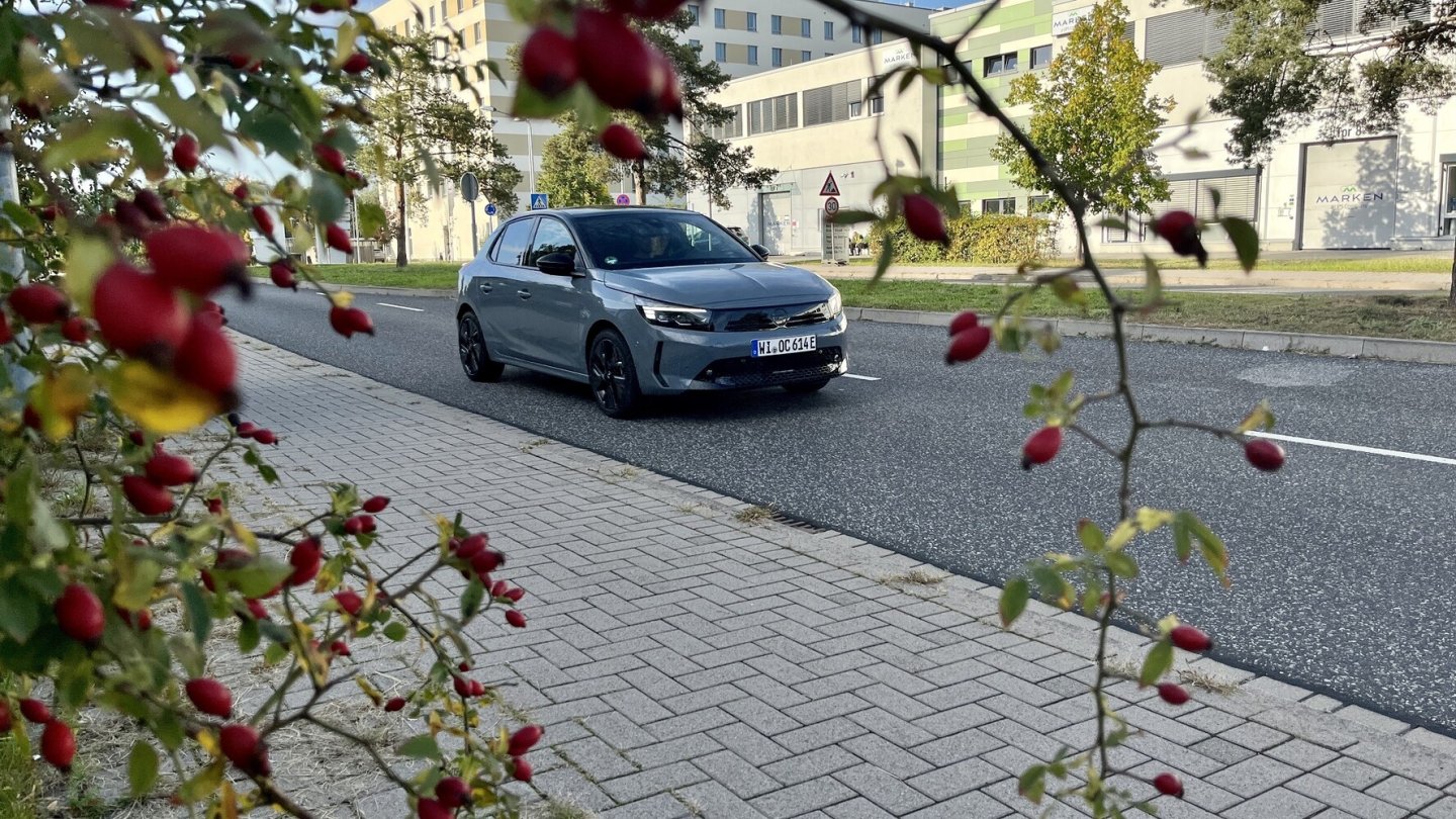 Durch die Blume gesagt: Immer auch das Kleingedruckte lesen!