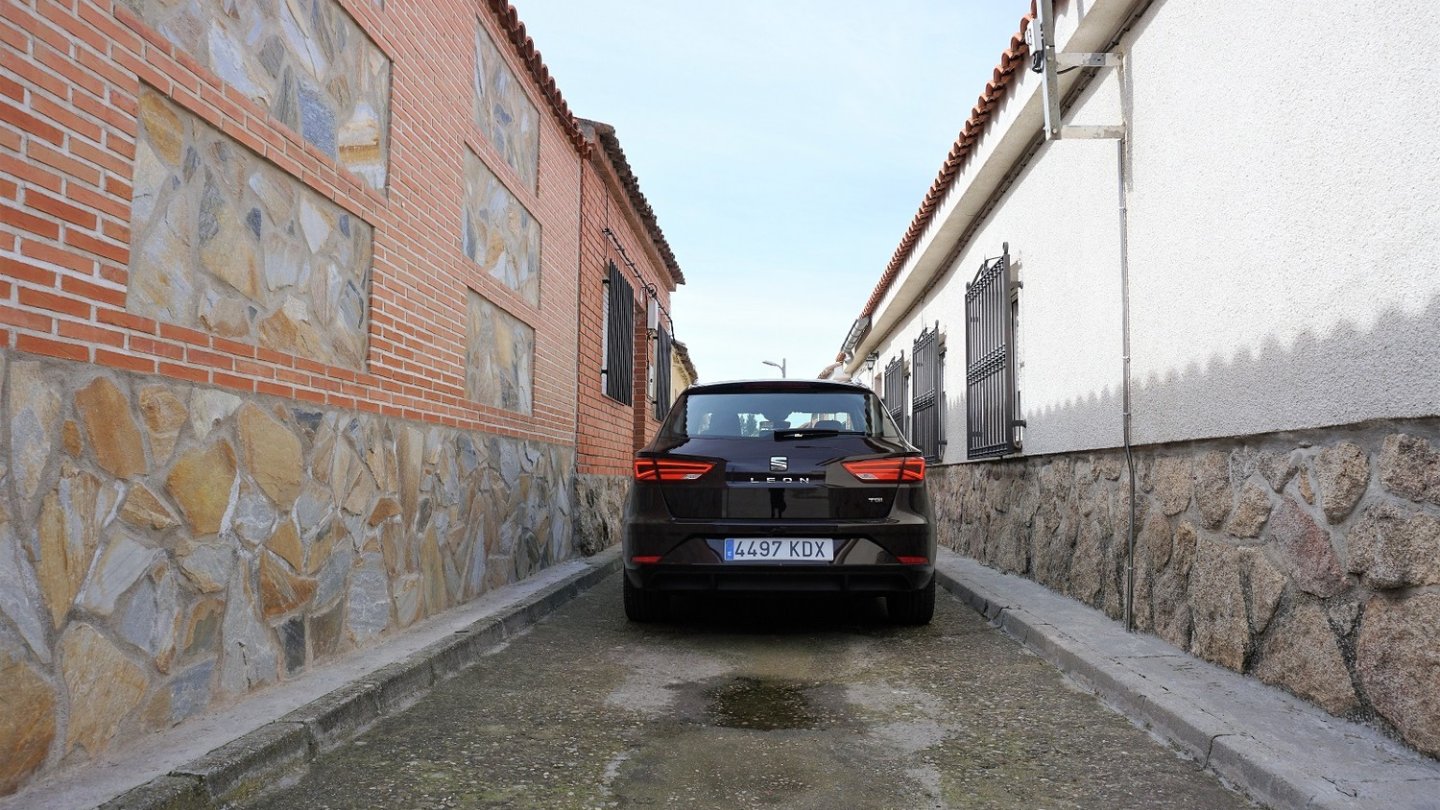 Noch steckt der Erdgas-Leon in einer engen Nische. Das soll sich aber ändern.