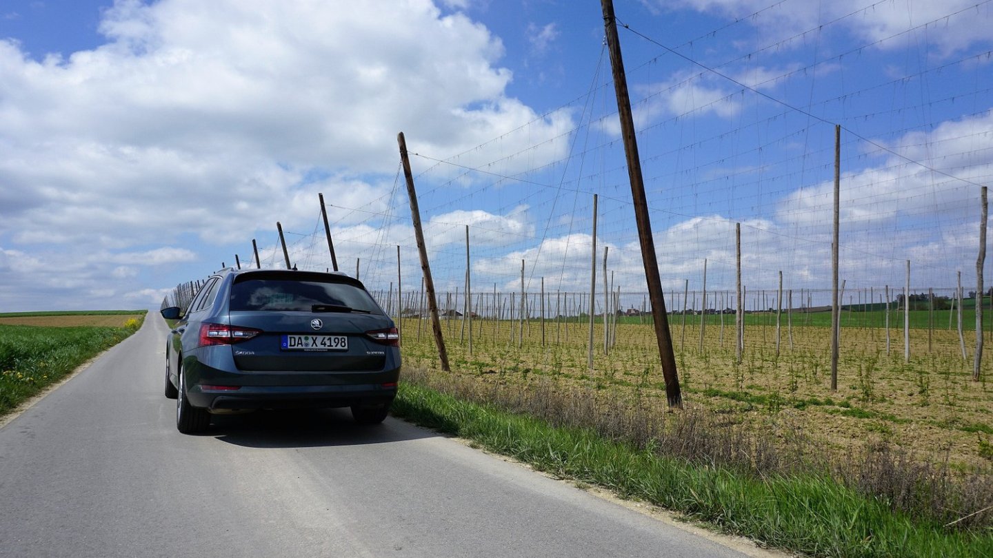 Den Hopfen habe ich lieber nicht eingeladen. Wäre die helle Innenausstattung je wieder sauber geworden?