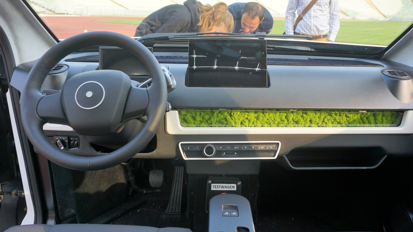 Moos als natürlicher Innenraum-Luftfilter.