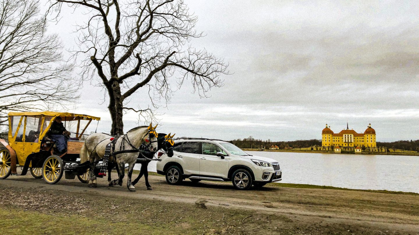 166,7 PS stecken maximal im Auto, zwei Pferdestärken traben gerade vorbei.