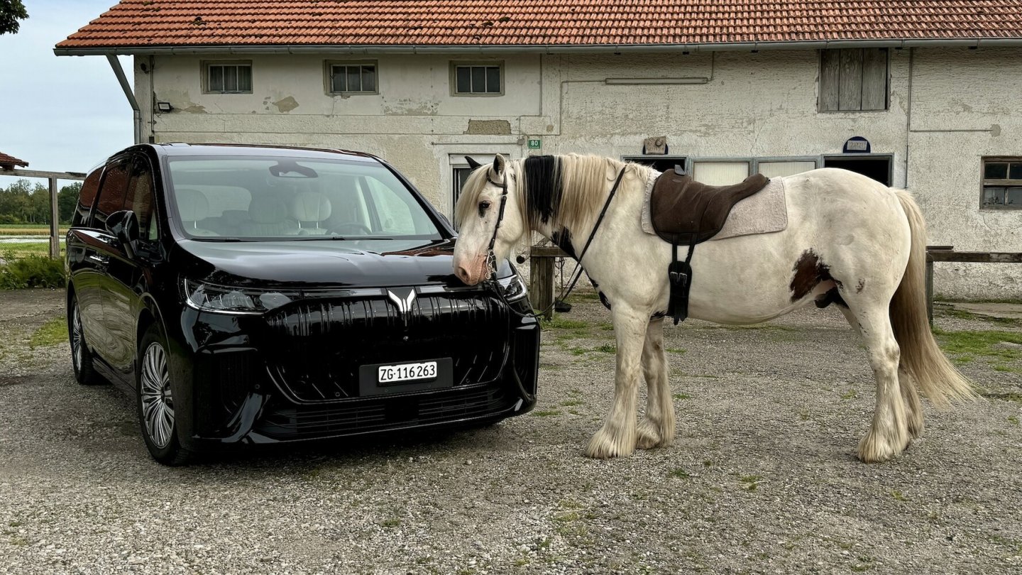 Da staunt nicht nur Mr. Willson, das Pferd...